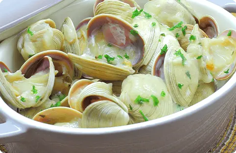 Almeja Blanca