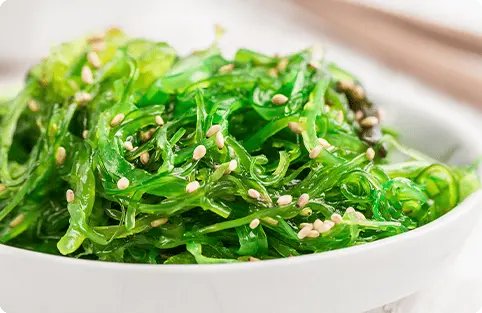 Ensalada de Algas