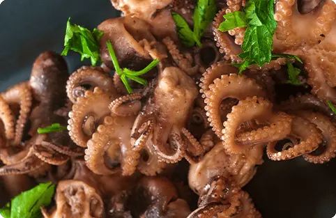 Pulpo Baby