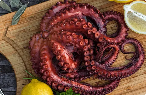 Pulpo Cocido