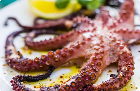 Pulpo Colosal