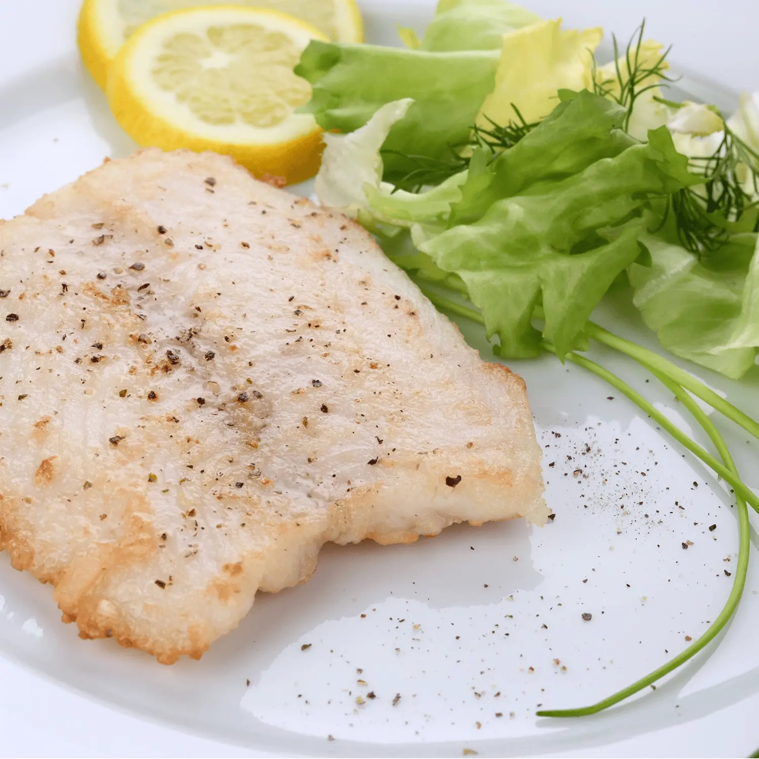 Tilapia